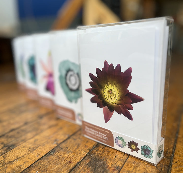 'see nature anew' botanicals blank card set