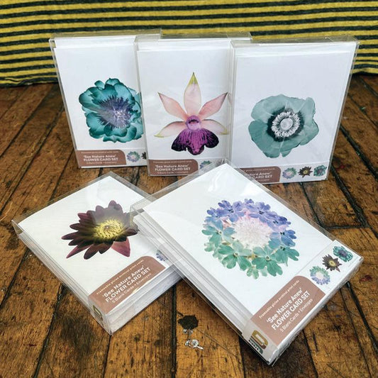 'see nature anew' botanicals blank card set